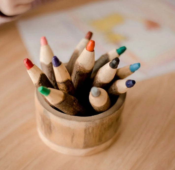Tree colour pencil set