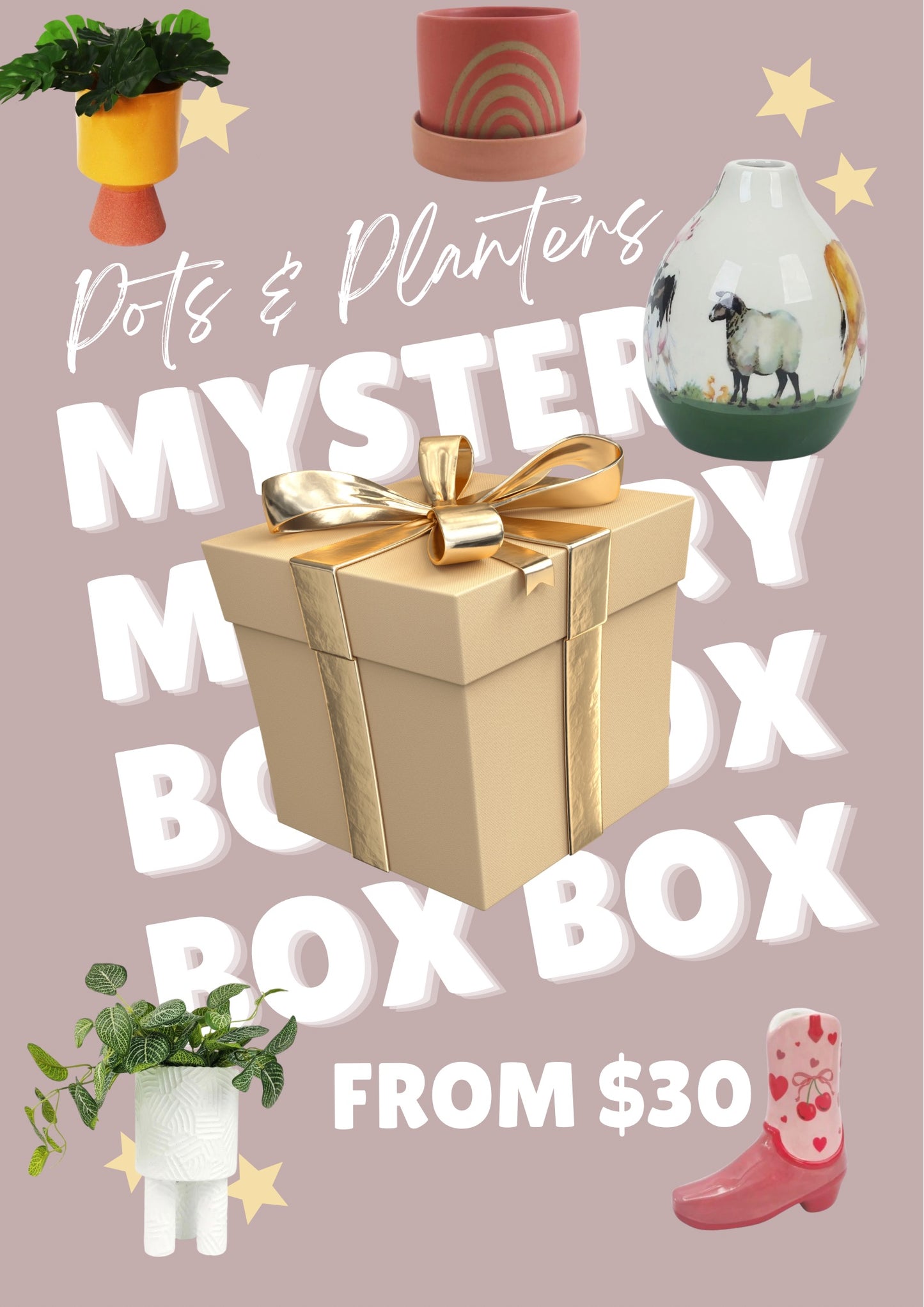Pots & Planters Mystery Box