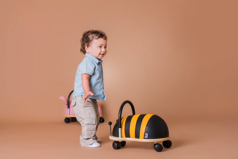 Small Bee Wheely Bug