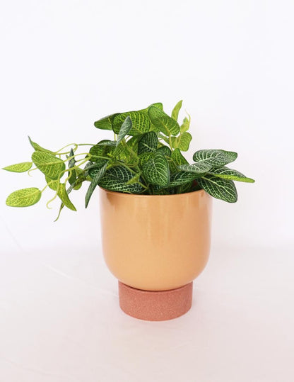Prim Tall Planter with Saucer – Medium 19cm Peach & Terracotta Ceramic Pot