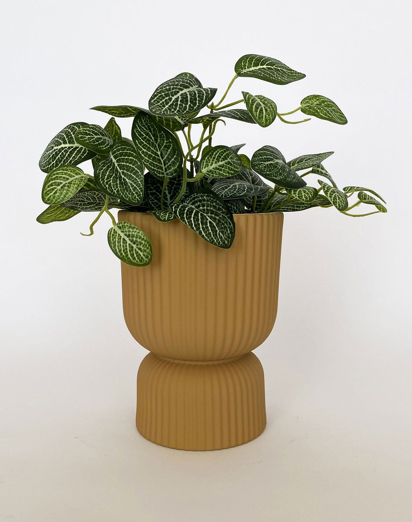 Brooklyn Abstract Planter -  Mustard Ceramic Pot Large 20cm